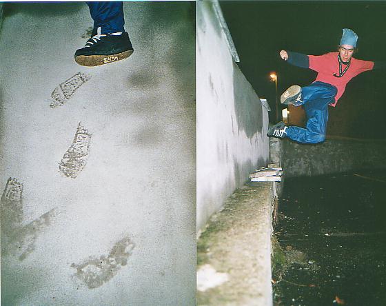 Anti marchant sur un mur... et ses traces de pas(on peut m�me voir les traces de Bou�bou� en bas)